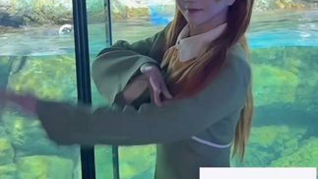 别让明日香和企鹅拍这些！ 偶遇penpen亲戚