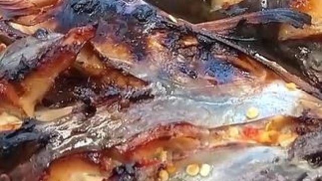 哇，在森林里吃大牡蛎配辣酱