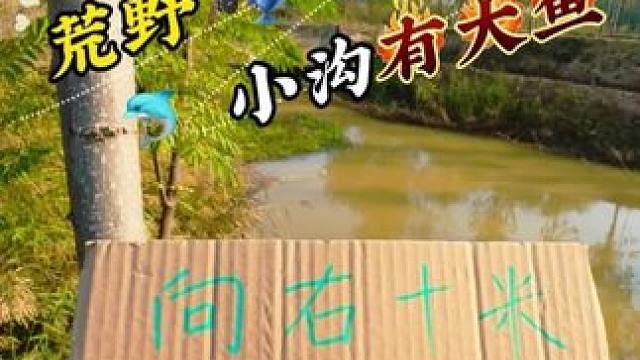 探钓野外小河沟
