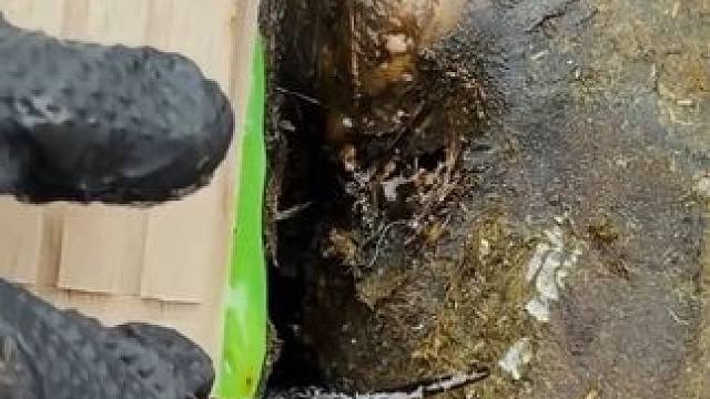 刚抬起来就给了小哥一顿暴击，到底是怎么引起的