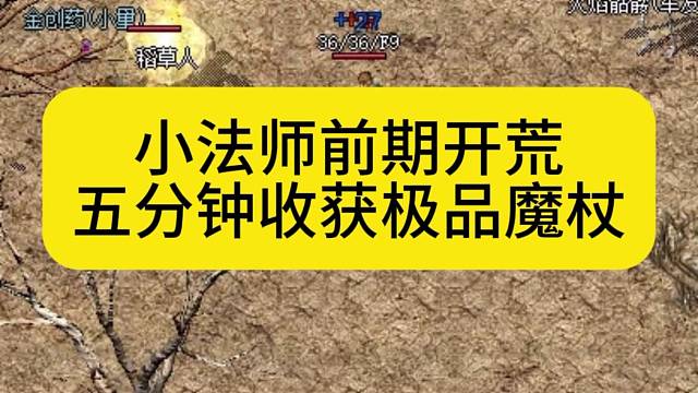 小法师前期开荒，五分钟收获极品魔杖