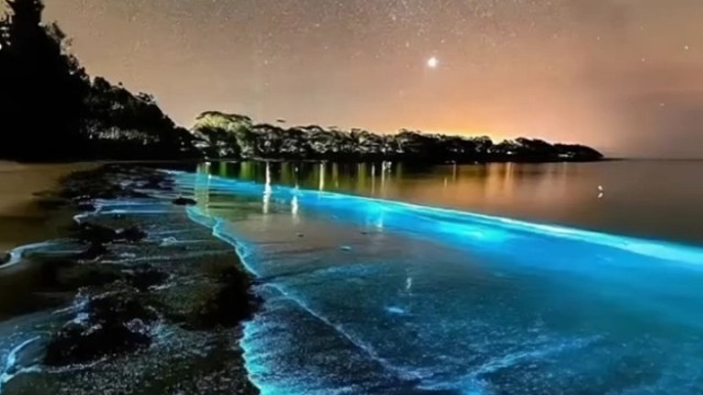 世界知名荧光海滩