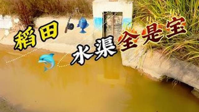 万万没想到这小沟里竟然全是宝贝