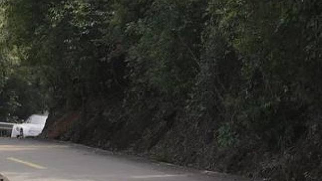 最后的片段里有多少只“小蜜蜂”？