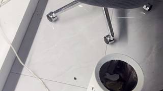 網線剛剛踢斷了，今天來不了了