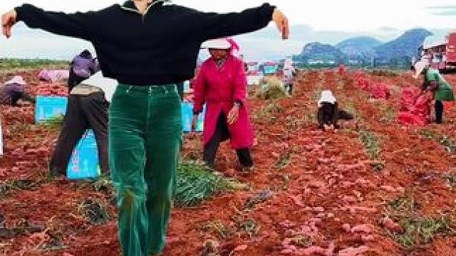 开心比丰收更重要