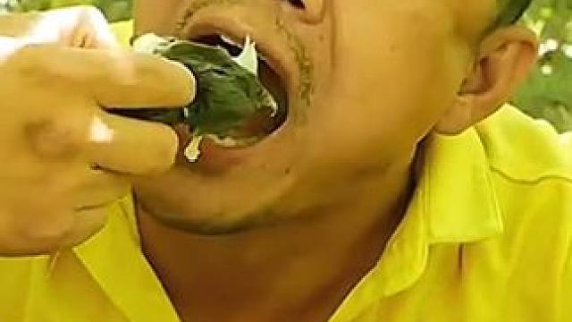 好有弹性的水煮牛蛙