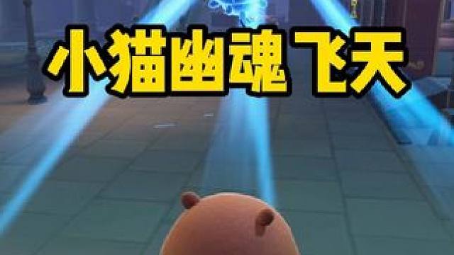 小猫幽魂飞天，太好玩了！yc