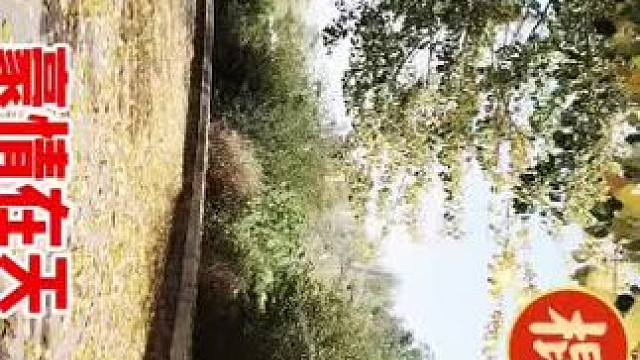 功夫学无止境，棍不离手。天气好公园练练先