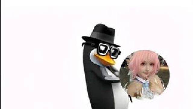 让我宣传哈基诺老大我就这样