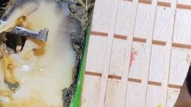 牛蹄的压力瞬间释放，直接给了小哥一顿暴击