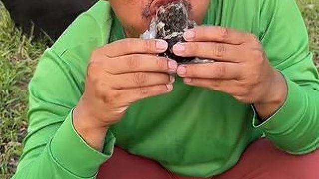 发现蛋蛋蛙化石