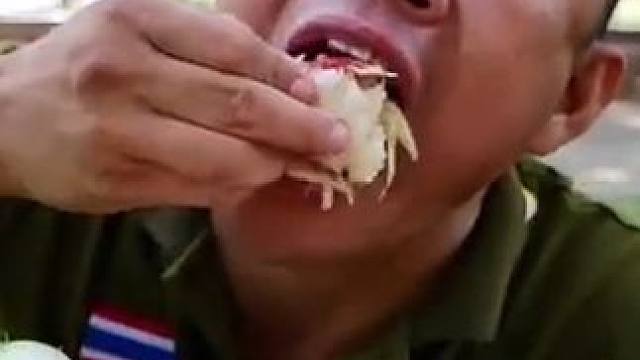 酸辣️木瓜丝碳烤大鳝鱼