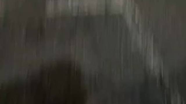 仅限圣诞节有货！！