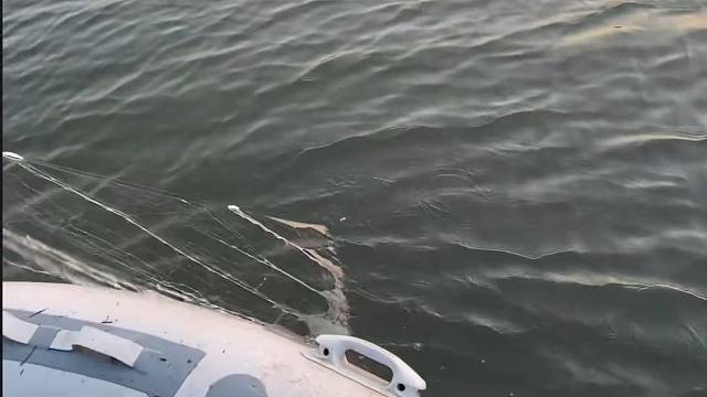 #户外捕鱼大队 #捕鱼河边随拍 #捕捞现场  #丝网捕鱼