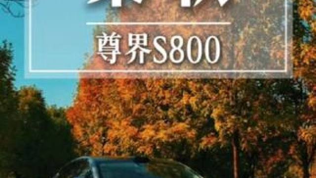 去抓个秋天的尾。