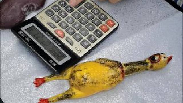 我发布了一个新视频，快来围观吧！