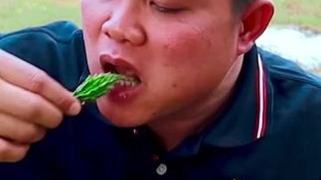 小赖瓜鲜辣️凉拌小白虾