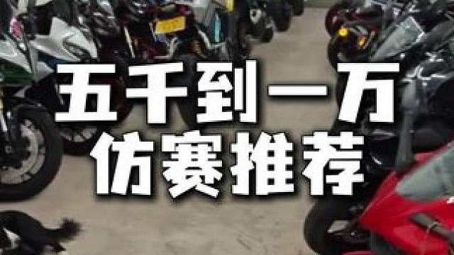 穷哥们五千到一万仿赛闭眼冲 这4台让你花小钱玩出大排感 最后一台保值到离谱