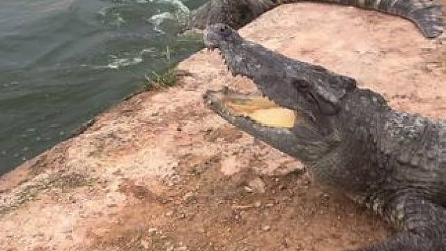 我们的故事才刚刚开始