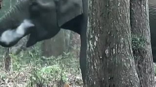 我发布了一个新视频，快来围观吧！