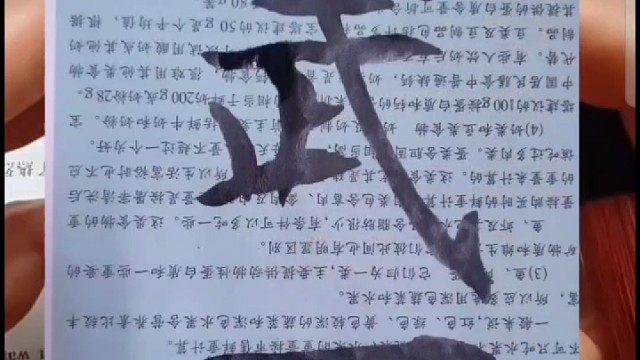 生活和学习不是一成不变的教条 而是随机临场应变的能力