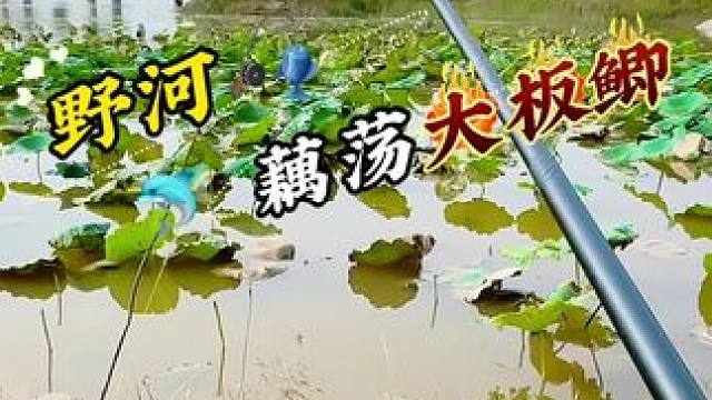 开局以为要空军 结果后来全是惊喜