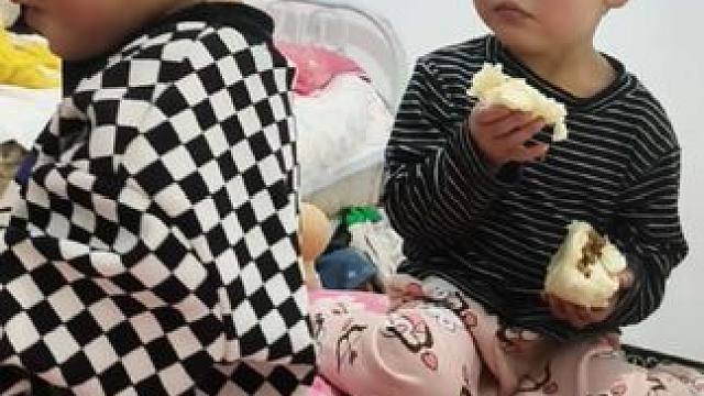 双双喜欢吃包子。