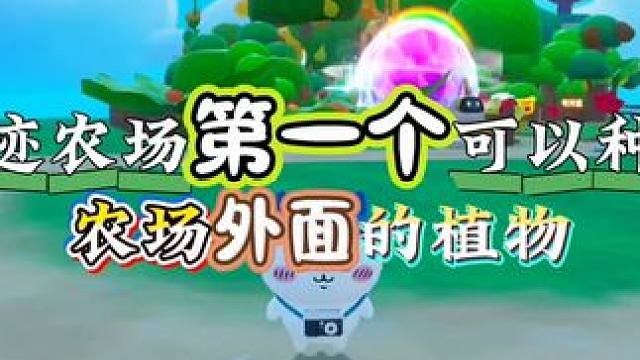 奇迹农场第一个可以种植在农场外面的植物