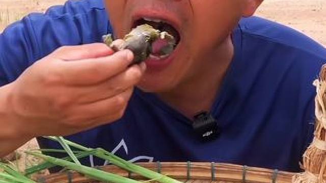 香米饭咖喱炖蛋蛋蛙