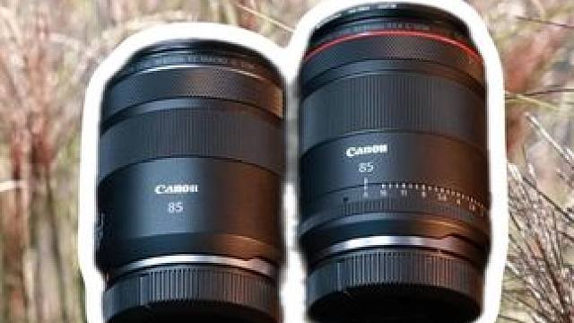 今天对比一下RF&EF的两支85mm镜头的对焦速度