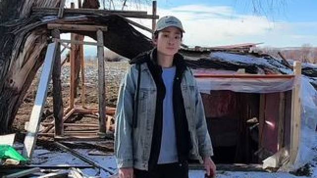 新疆阿勒泰荒野搭建地窝子庇护所独居生存100天，第二十一天