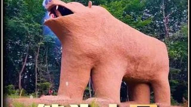 这样一个造型奇特的庇护所，才是野外最有安全感的小屋