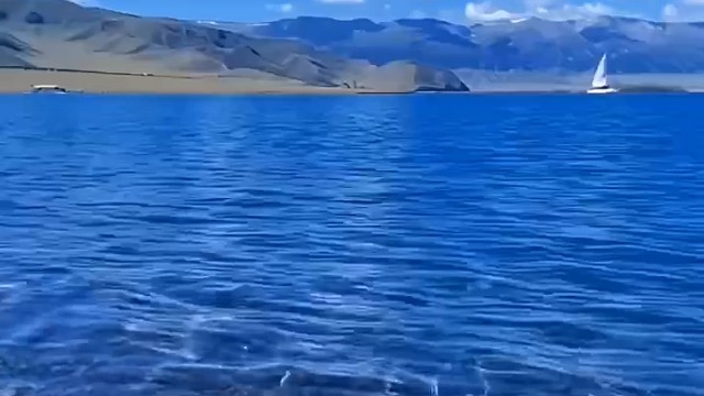 你骂没用，我会反弹