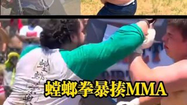 螳螂拳传人暴揍MMA爱好者
