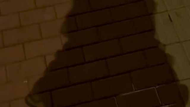 你凭什么觉得我拿不下你