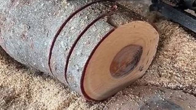 每天都在做菜板子