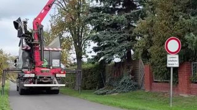 德国机械砍树过程，省时又省力！