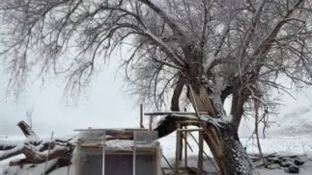 今天醒来雾凇小镇初冬第一场持续时间很长的大