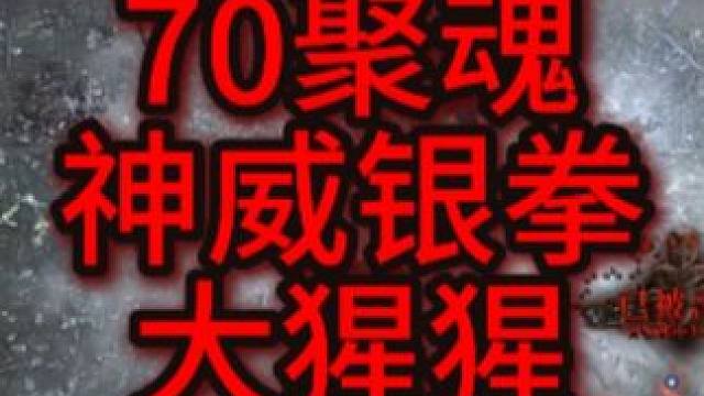 70聚魂 150亢奋 神威银拳 大猩猩 血法半硬顶单杀