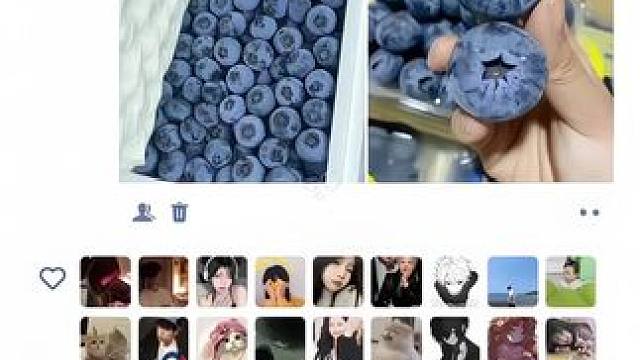 是谁还没有收到对象送的入冬的第一箱秘鲁蓝莓 #