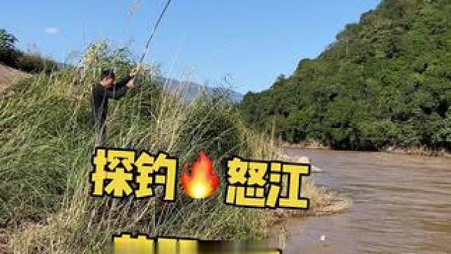 怒江野钓 怒江野钓