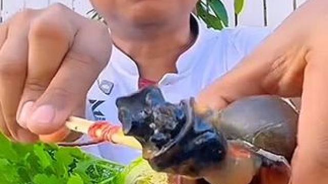 酸辣木瓜丝碳烤大田鼠新鲜大肥螺