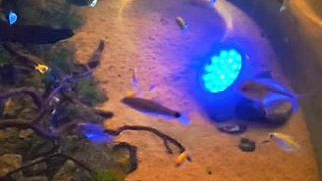 大疆Action6来了，从此回忆不再模糊，都是4K120帧！