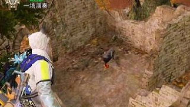 无限成年猪地点，抓猪小技巧。