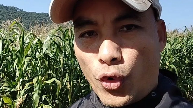 为了孩子成长，呼吁一起一起关闭不良网游