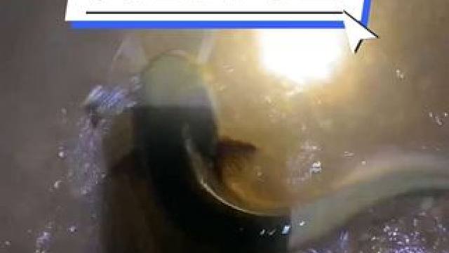 视频来自粉丝反馈。