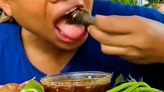 牛瘪蘸水毛肚卷牛肝