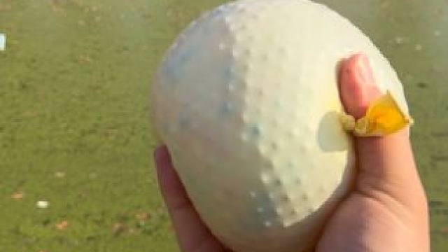 每日贱闻：100万颗水宝宝在满是浮萍的水面上炸开会怎么样？