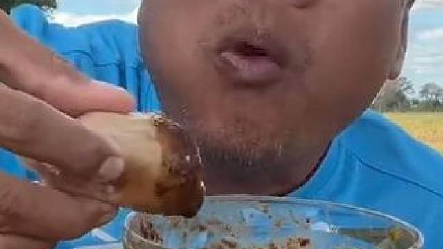 老马吃羊蛋，看着就疼